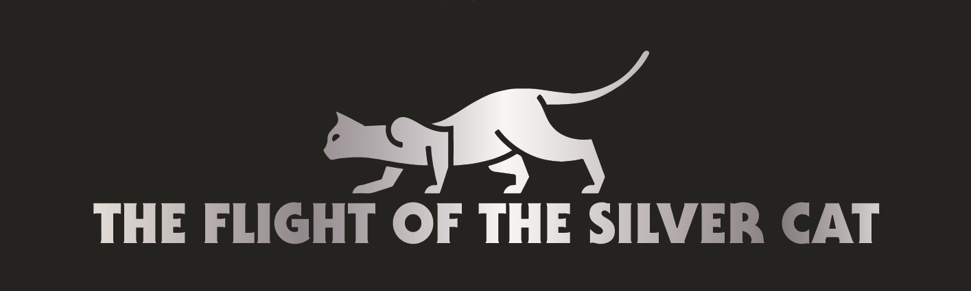 The Flight of the Silver cat